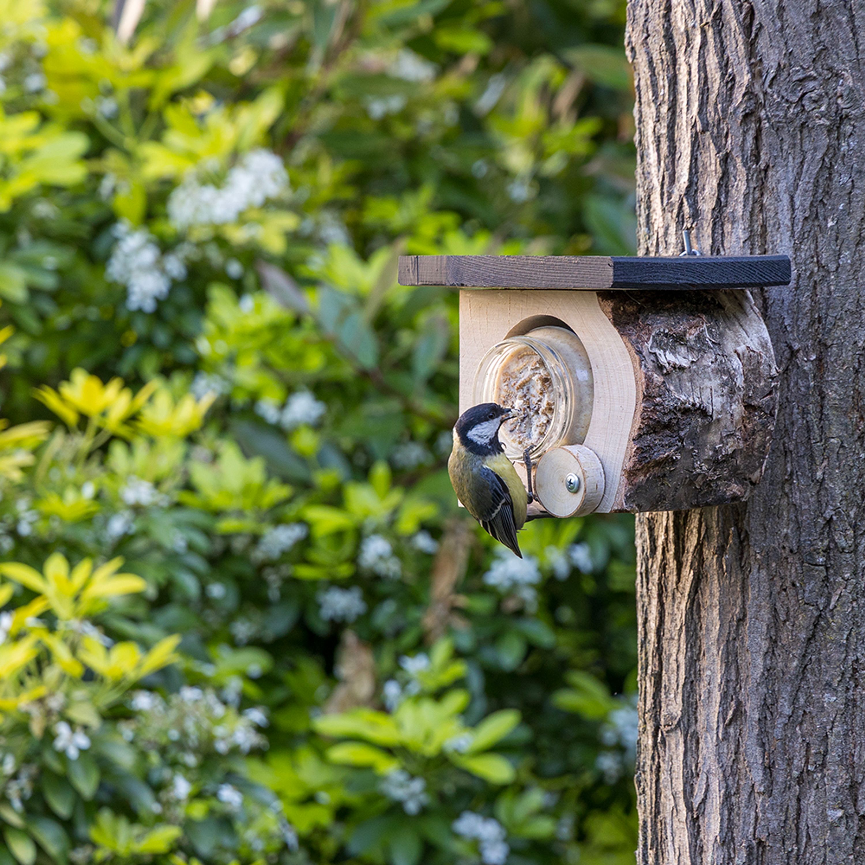 Erdnussbutter-Halter Montreal | CJ Wildlife